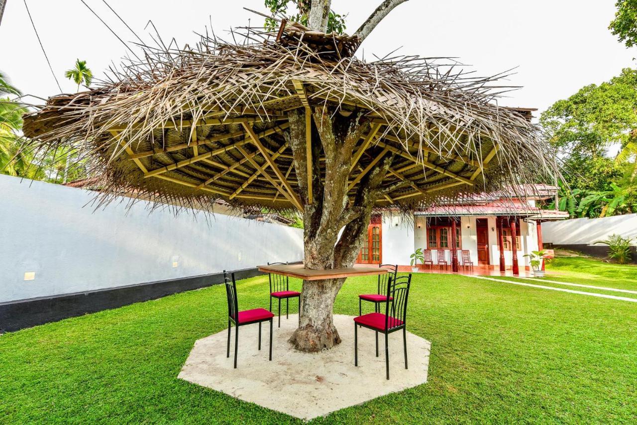 The Senu Grand Villa Hikkaduwa Eksteriør bilde